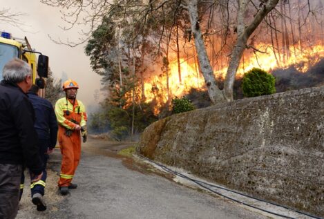 El fuego asola Asturias: 121 incendios forestales y Barbón califica a los culpables de «terroristas»