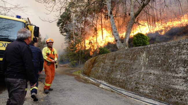 El fuego asola Asturias: 121 incendios forestales y Barbón califica a los culpables de «terroristas»