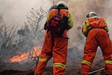 «Son incendios provocados que no tienen precedentes», dice el Gobierno asturiano