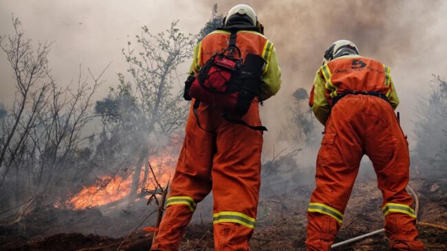 «Son incendios provocados que no tienen precedentes», dice el Gobierno asturiano