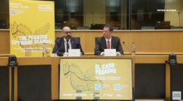 Un experto desmonta en la UE el polémico informe sobre el espionaje en Cataluña