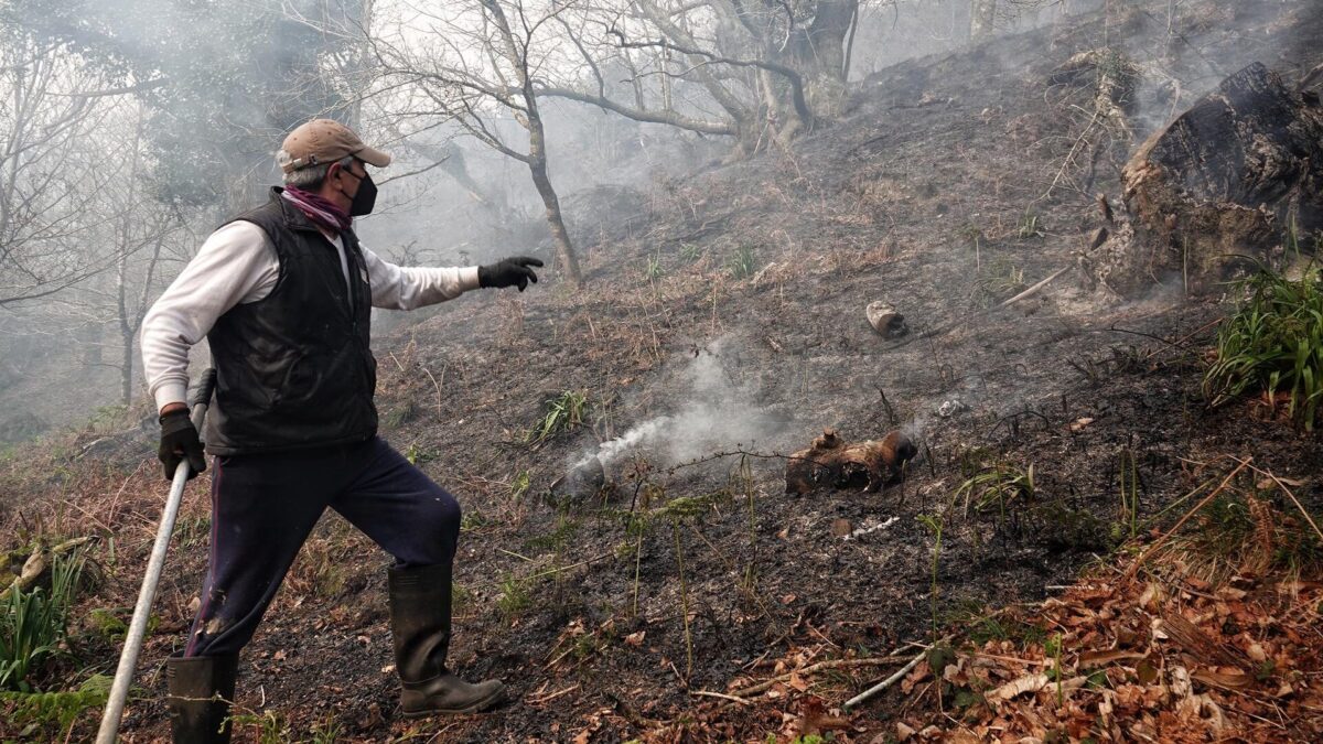 Asturias registra 97 incendios forestales en 35 concejos