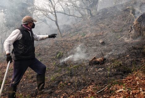Asturias registra 97 incendios forestales en 35 concejos