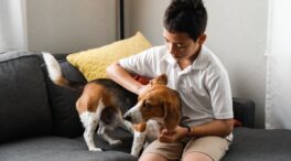 Cómo le puede afectar a tu mascota la nueva Ley de Bienestar Animal