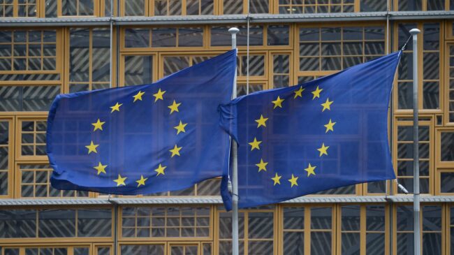 UE y Mercosur ven «progresos considerables» en los últimos meses para cerrar el acuerdo