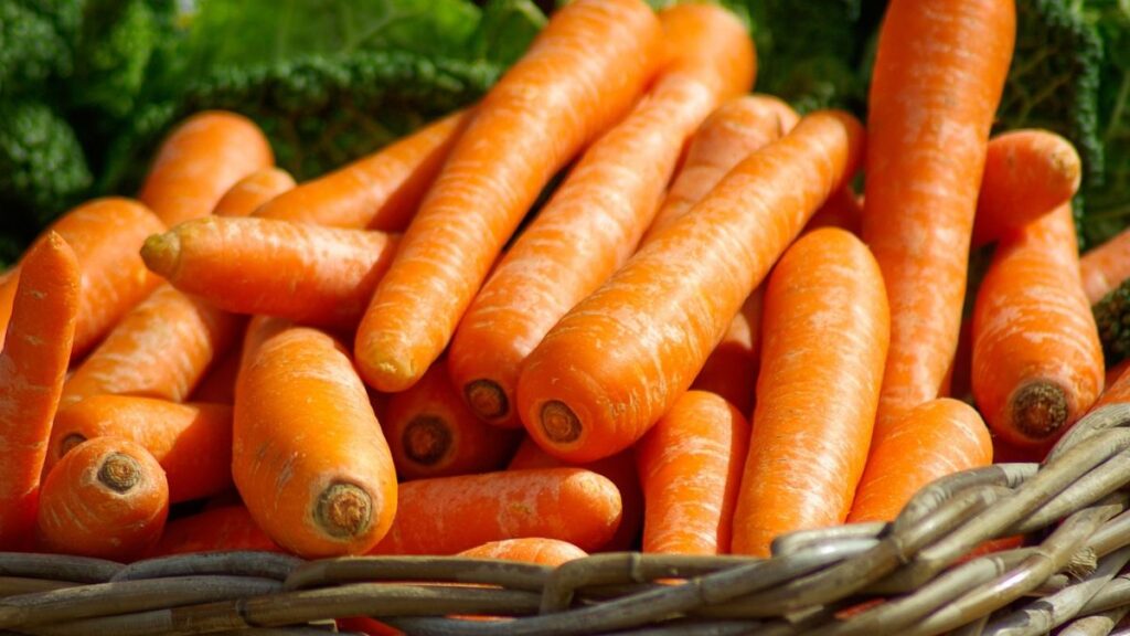 Evitar la humedad es clave para la conservación de las zanahorias