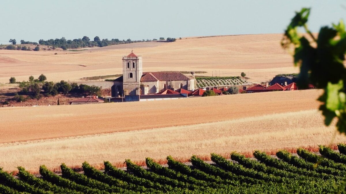 El mejor vino rosado del mundo es de la Denominación de Origen Cigales