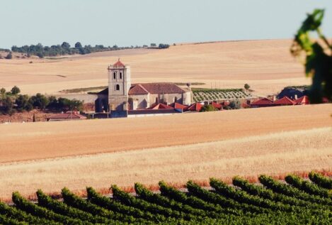 La Junta de Castilla y León ayuda al sector del vino a promocionarse en el exterior