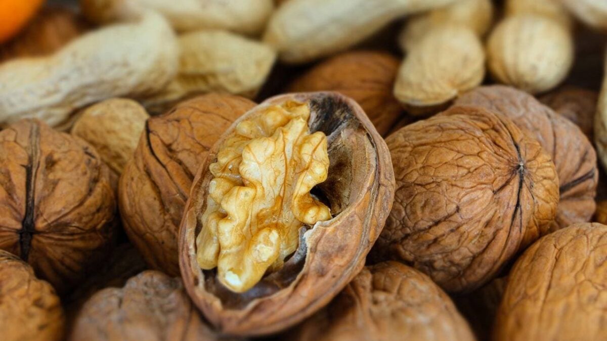 Comer nueces de forma habitual beneficia el desarrollo cognitivo en la adolescencia