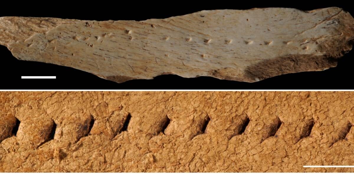 Los ‘Homo sapiens’ cosían su ropa hace 39.000 años en la península ibérica