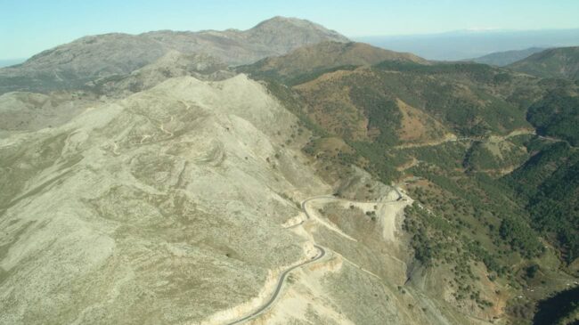 Hallan restos de una especie arbórea que ya no existe en la Cordillera Bética occidental