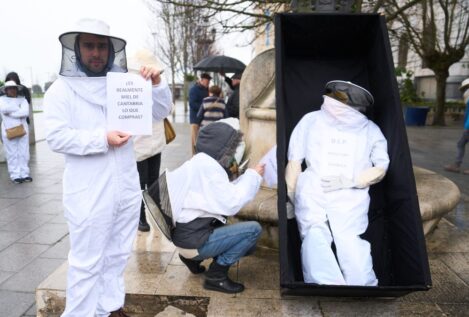 Apicultores de la UE lanzan una campaña para evitar fraudes en el etiquetado de la miel