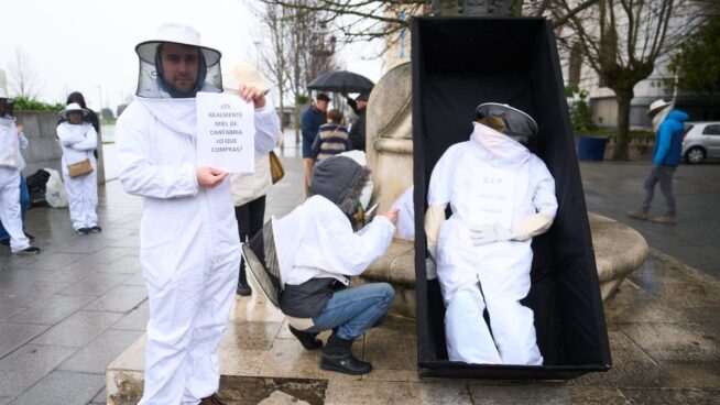 Apicultores de la UE lanzan una campaña para evitar fraudes en el etiquetado de la miel