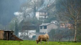Asturias lanza un plan de choque que subvencionará al 100% la reforestación