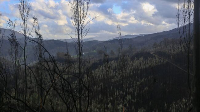 Asturias centra la extinción de incendios en tres de los 43 focos activos