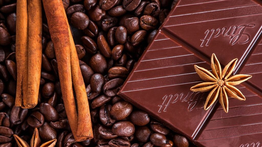 Granos de cacao y una tableta de chocolate. Foto: Pixabay