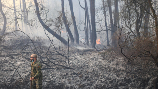 Asturias no arde, la queman