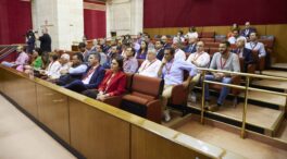 PP y Vox superan el primer trámite para aprobar la polémica ley de regadíos de Doñana