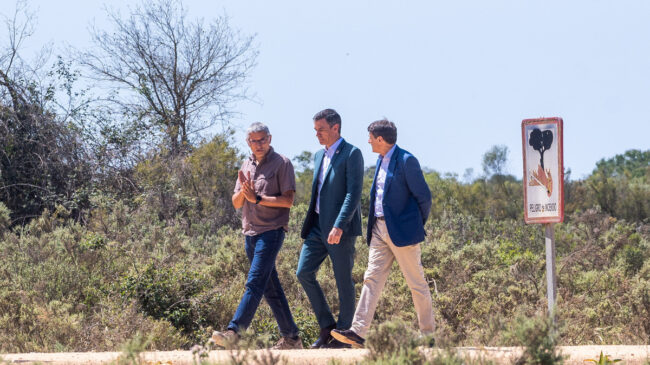 El PSOE presionó a los alcaldes socialistas en Doñana para que no apoyaran a la Junta 