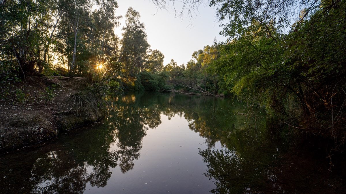 Parque de Doñana