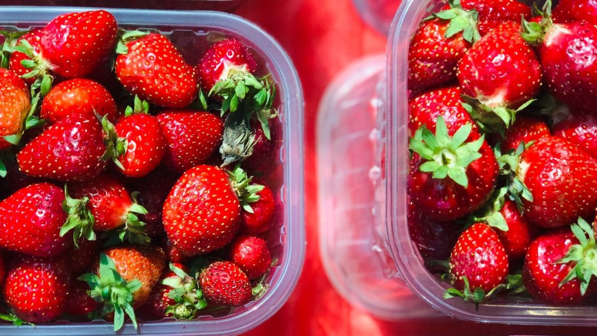 Fresas en recipientes de plástico. 