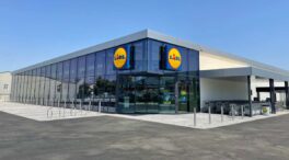 Carrefour y Lidl pisan el acelerador en la última parte del año a costa de Mercadona