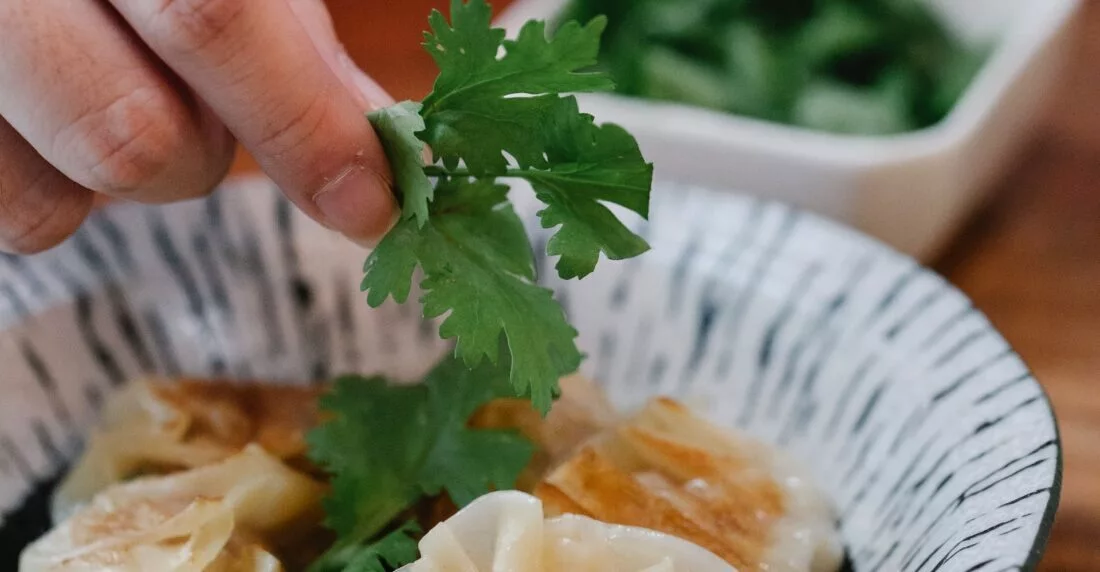 ¿En qué se diferencian el cilantro y el perejil?