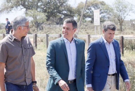 Sánchez moviliza dos Falcon para ir a Doñana a criticar las políticas medioambientales del PP