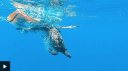 La BBC admite haber usado una imagen falsa en un reportaje sobre los plásticos en el océano