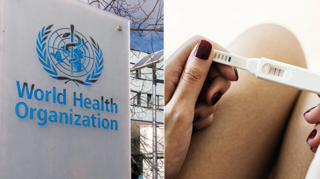 La OMS alerta sobre la prevalencia récord de la esterilidad y la necesidad de ampliar el acceso a tratamientos
