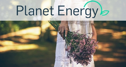 El auge de las ecobodas: cómo puedes hacer que sea sostenible