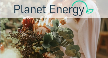 El auge de las ecobodas: cómo puedes hacer que sea sostenible
