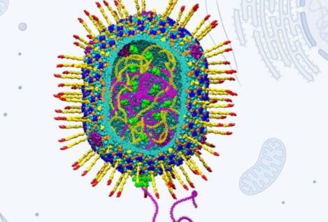 Desarrollan virus artificiales para su aplicación en terapias genéticas