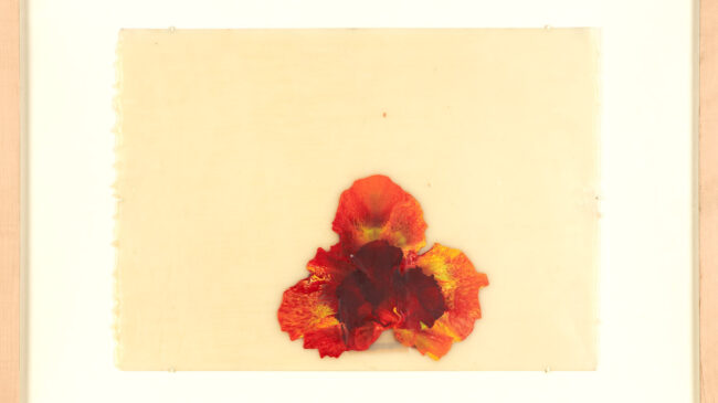 Las miles de obras de Arte y Naturaleza, a precio de ganga en Durán