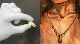 Logran extraer muestras de ADN del colgante de una mujer que vivió hace 20.000 años