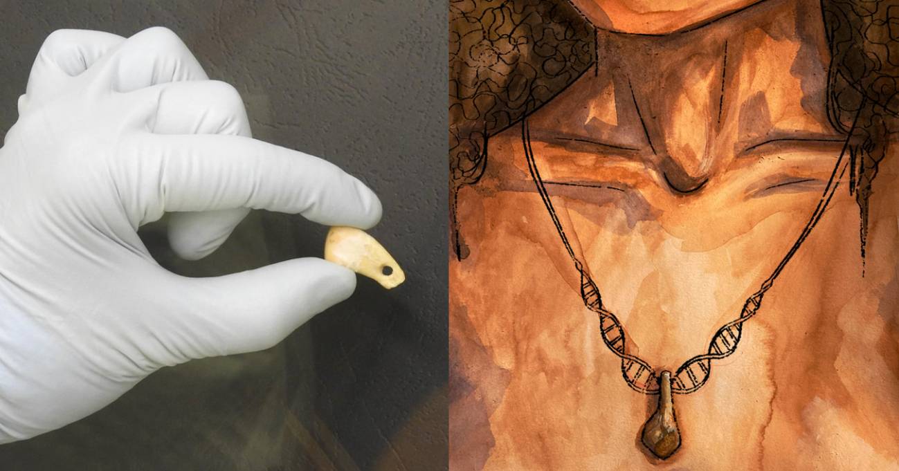 Logran extraer muestras de ADN del colgante de una mujer que vivió hace 20.000 años