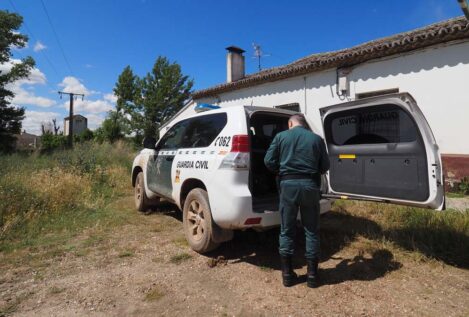 Rescatados cinco perros y dos caballos abandonados y una galga moribunda en Madrid