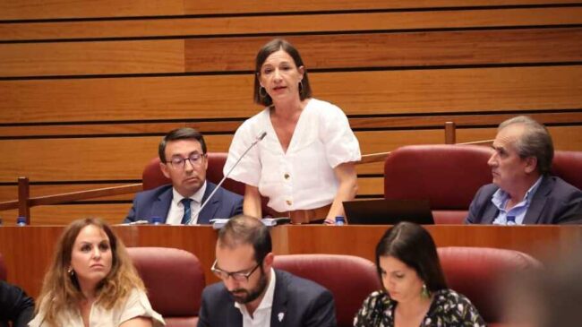 El PSOE acusa al Gobierno de Castilla y León de falta de transparencia en los Fondos Europeos