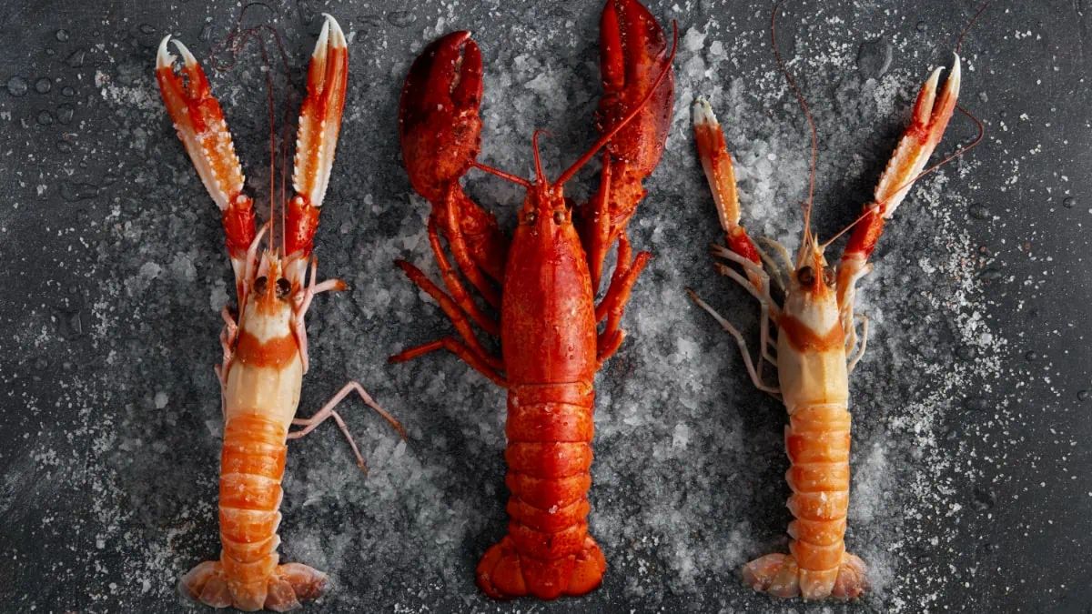 Plato de crustáceos, alimento rico en ácido úrico, uno de los hábitos que puede dañar los riñones