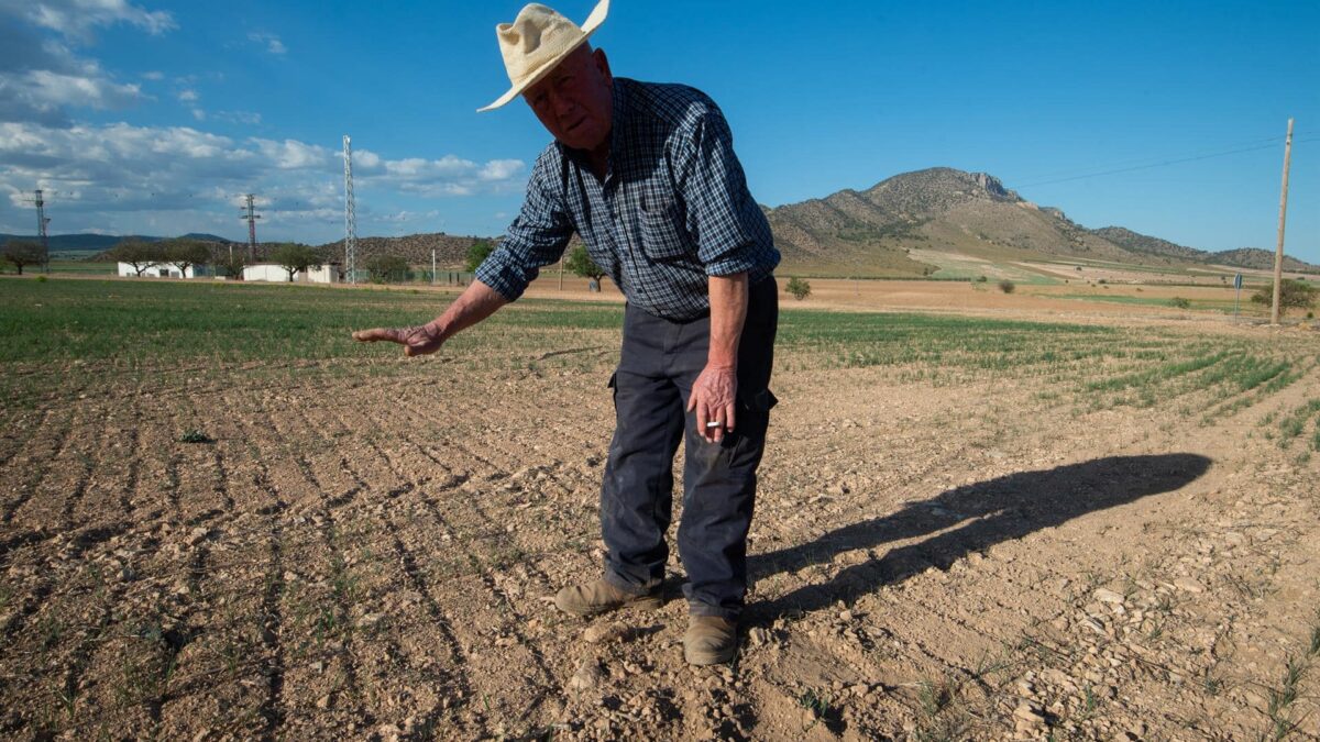 El PP plantea bajar el IVA a los agricultores y crear una reserva de alimentos básicos