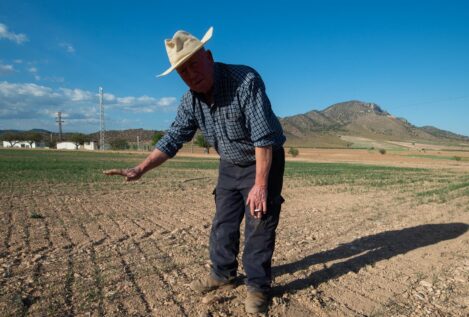 El PP plantea bajar el IVA a los agricultores y crear una reserva de alimentos básicos