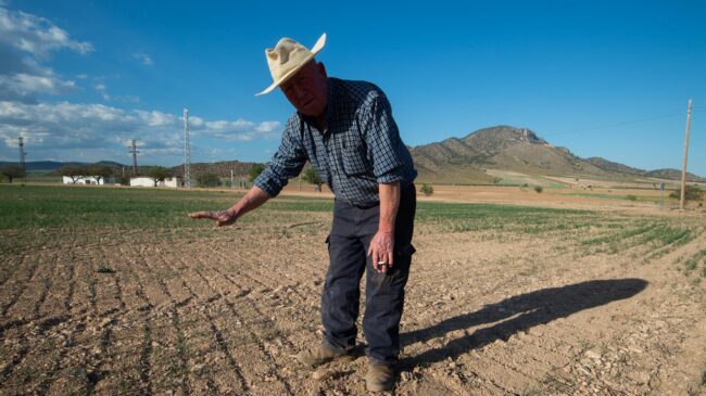 El PP plantea bajar el IVA a los agricultores y crear una reserva de alimentos básicos