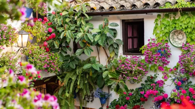 48 horas en Córdoba