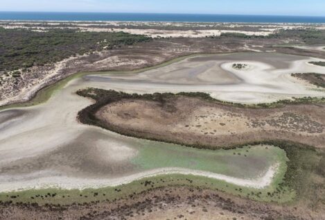 La Unesco dice que Doñana podría dejar de ser Patrimonio de la Humanidad por la ley del PP