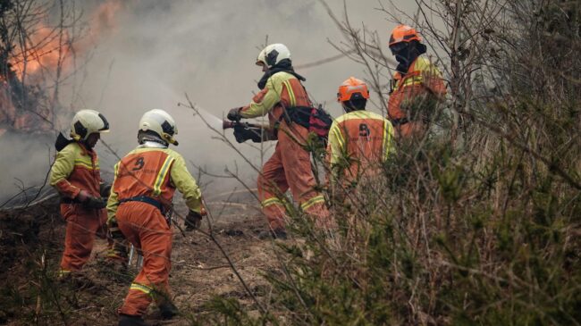 Prisión para el ganadero que en marzo quemó 1.200 hectáreas en un incendio en Asturias