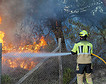 Más de media España está en riesgo «extremo o muy alto» de incendios forestales