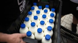 ¿Por qué la leche de España tiene menos sabor?