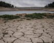 El campo español perderá 4,6 billones de euros por la sequía de aquí al año 2050