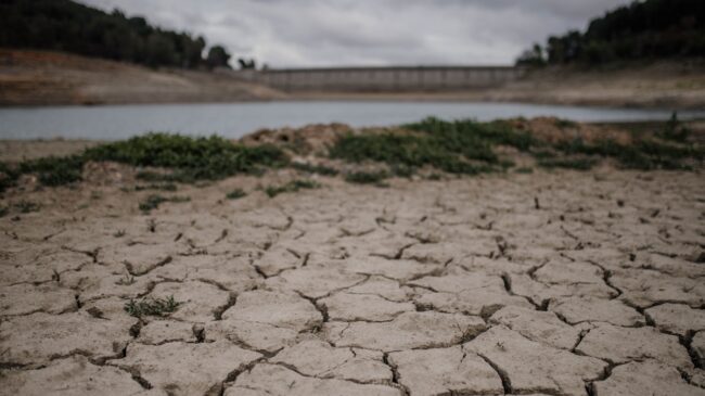 El campo español perderá 4,6 billones de euros por la sequía de aquí al año 2050