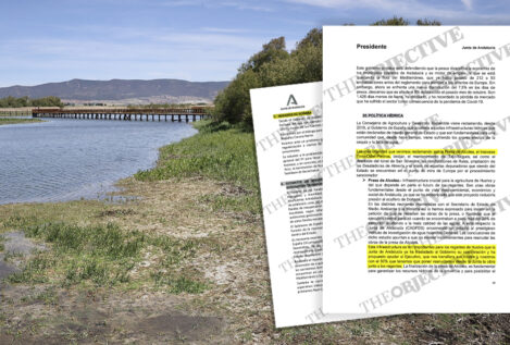 El Gobierno ignoró dos informes de Andalucía con propuestas para proteger Doñana